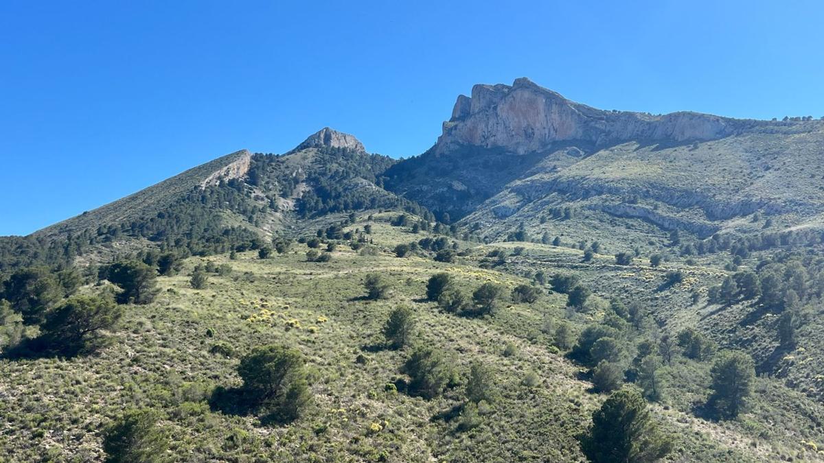 Terreno en venta en Jijona / Xixona, Alicante photo 2