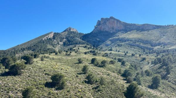Terreno en Finca La Pineta, 22 s/n, Jijona / Xixona thumbnail 1