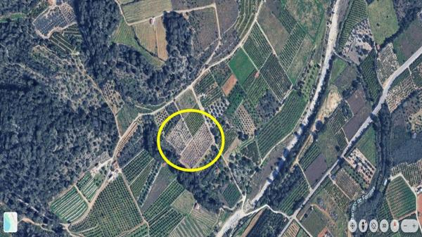 Terreno en Tormos photo 4
