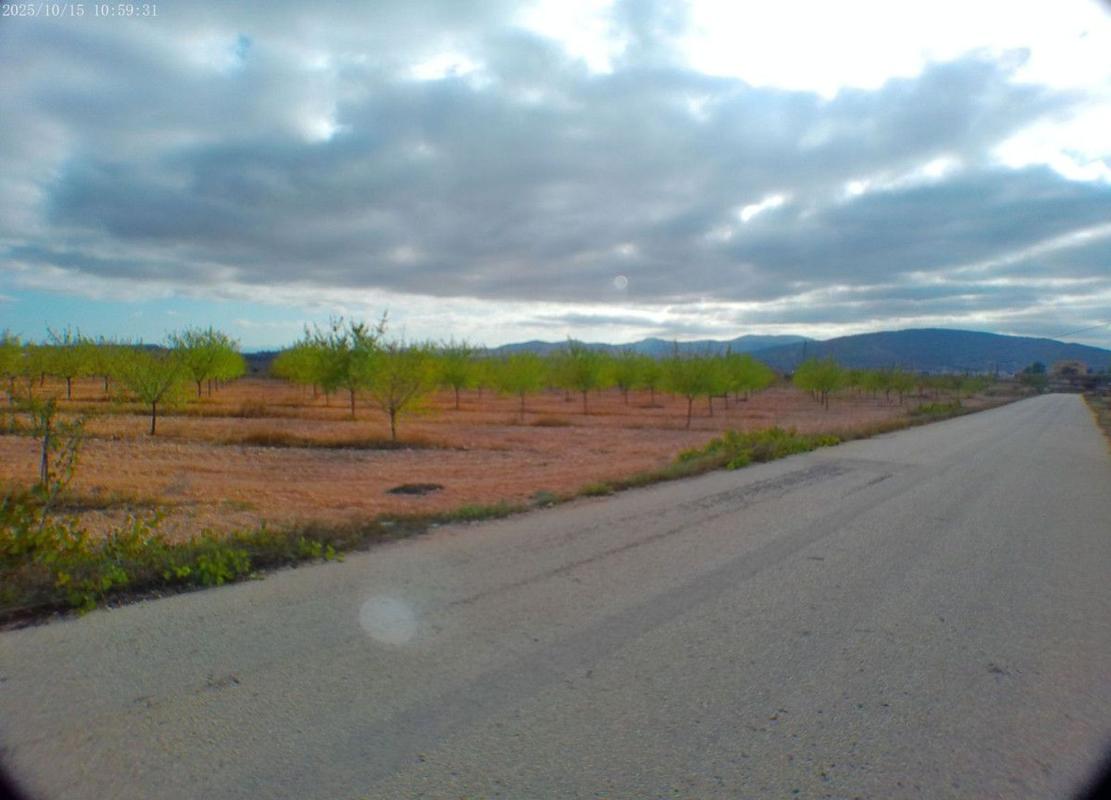 Terreno en venta en Pinoso, Alicante photo 2