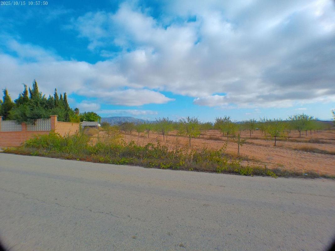 Terreno en venta en Pinoso, Alicante photo 5