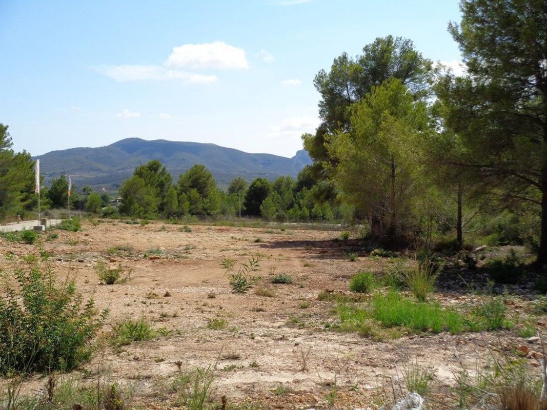 Terreno en venta en Jávea/Xàbia, Alicante photo 3