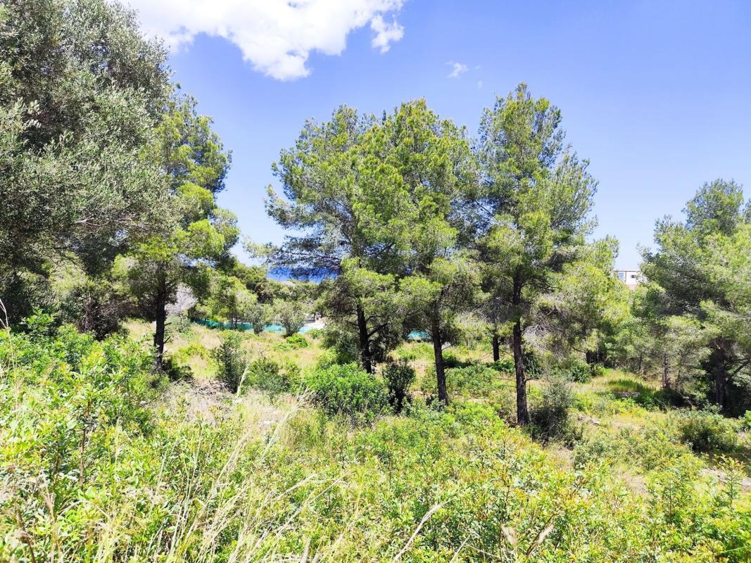 Terreno en venta en Denia, Alicante photo 3