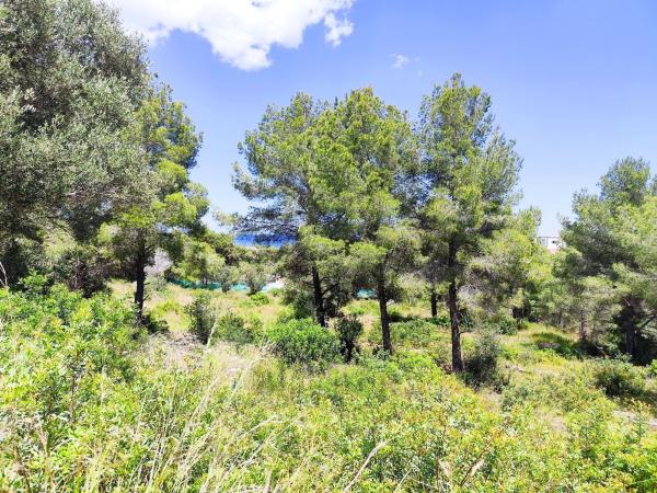 Terreno en Calle Peixos, 1, Les Rotes/Las Rotas, Denia thumbnail 2