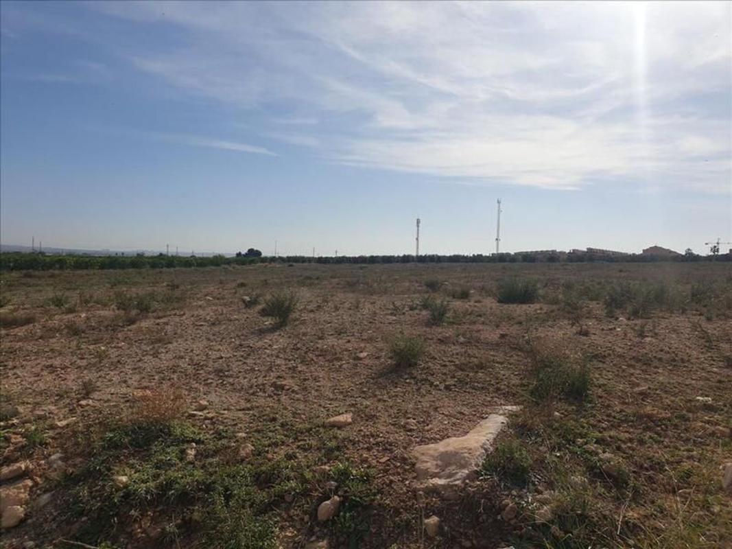 Участок земли на продажу в Алгорфа, Аликанте photo 3