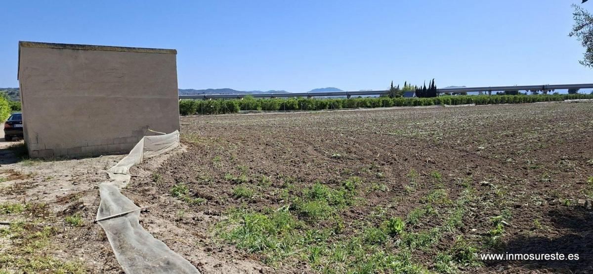 Land for sale in Orihuela, Alicante photo 1