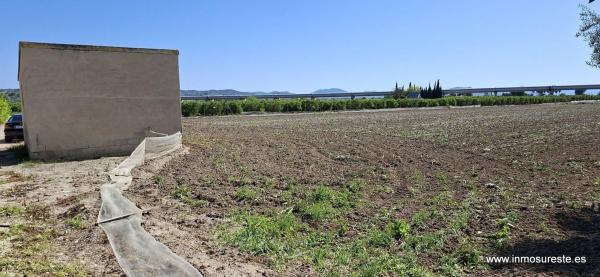 Terreno en Desamparados-Hurchillo-Torremendo, Orihuela photo 1