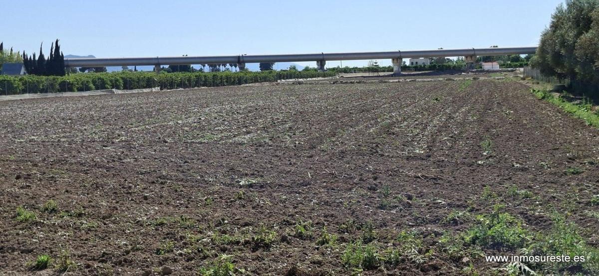 Land for sale in Orihuela, Alicante photo 2