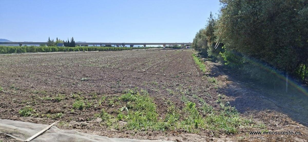 Land for sale in Orihuela, Alicante photo 3