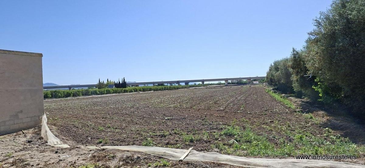 Land for sale in Orihuela, Alicante photo 4