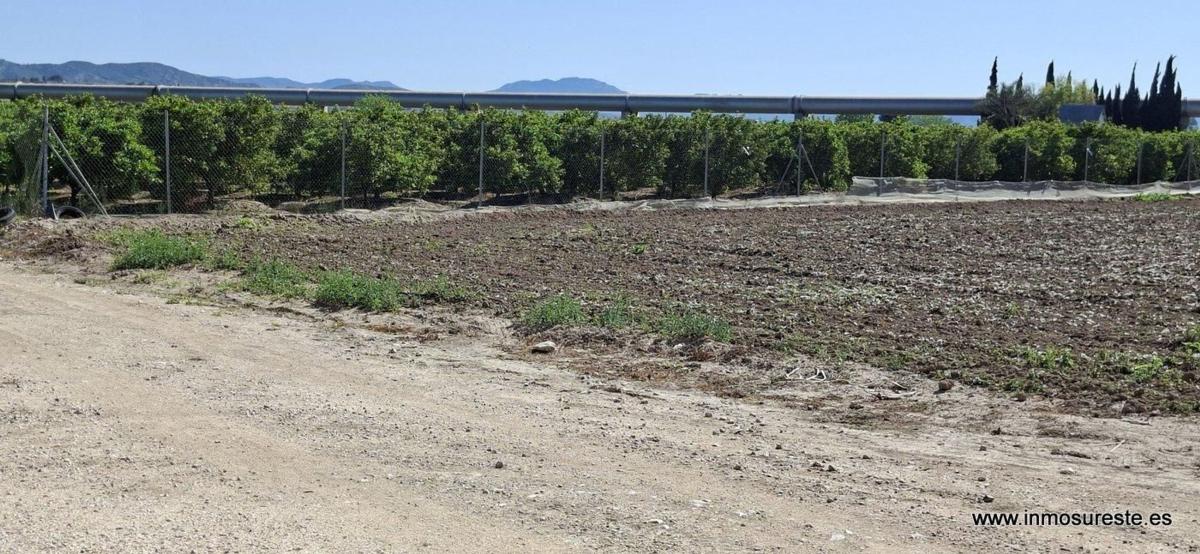 Land for sale in Orihuela, Alicante photo 5