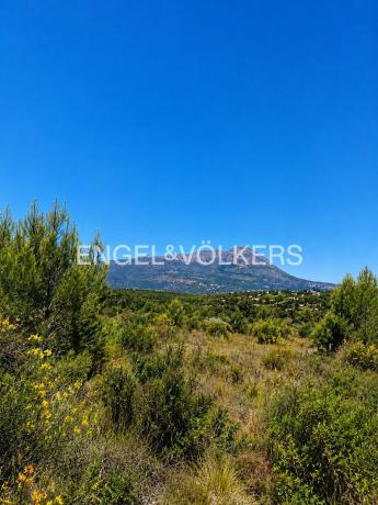 Terreno en Monte Olimpo, Jávea/Xàbia photo 1