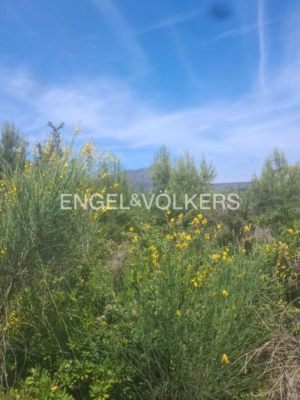 Terreno en venta en Jávea/Xàbia, Alicante photo 4