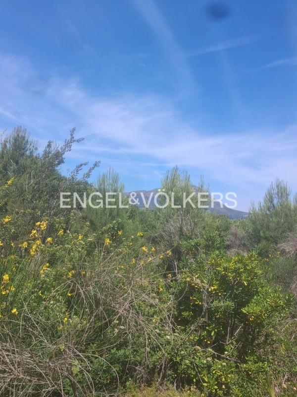 Terreno en venta en Jávea/Xàbia, Alicante photo 5