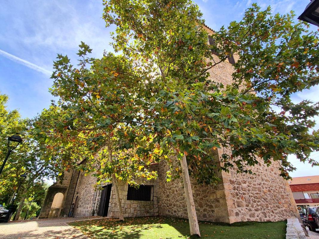 Sale of studio in Estudio en Torote, 2, Soto del Real, Soto del Real photo 3