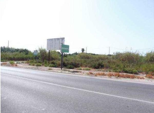 Terreno en Carretera Benejúzar s/n, Jacarilla thumbnail 2