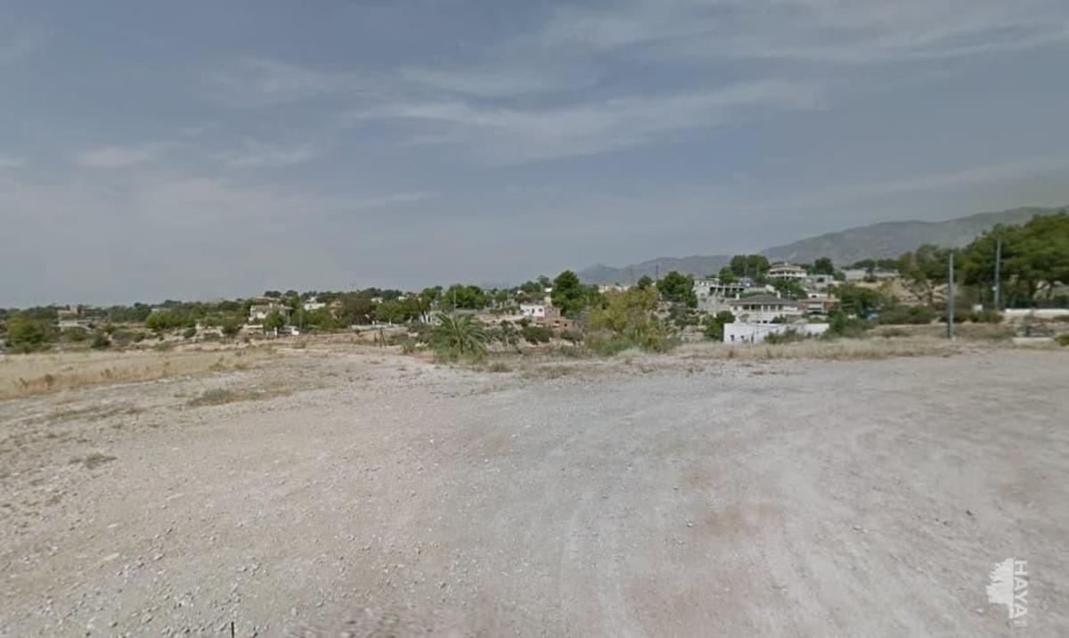 Land for sale in Crevillente, Alicante photo 4