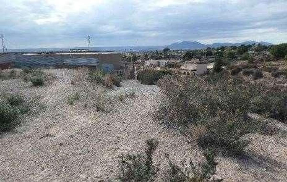 Land for sale in Crevillente, Alicante photo 5