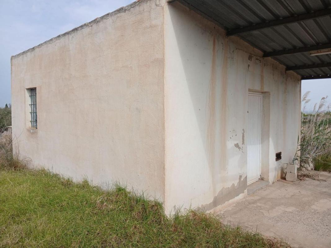 Land for sale in Crevillente, Alicante photo 2