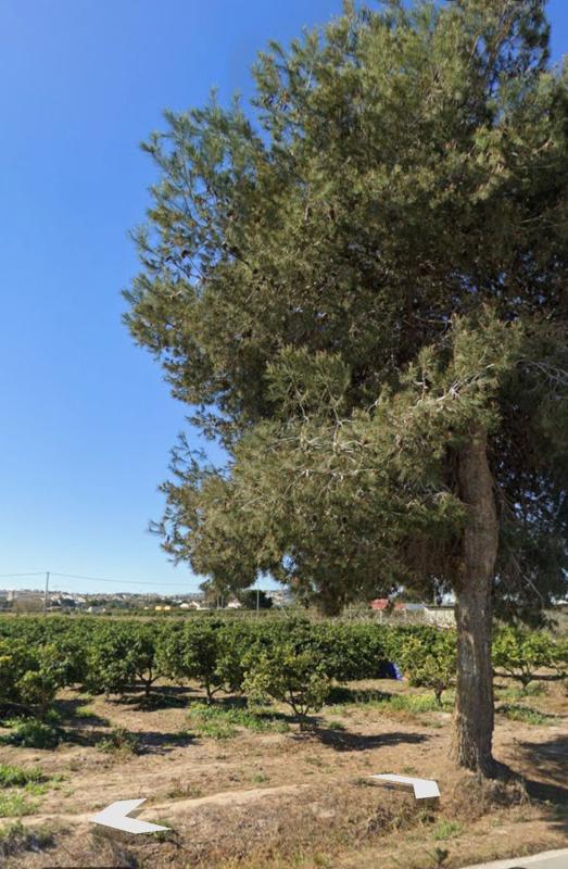 Terreno en venta en Rojales, Alicante photo 5