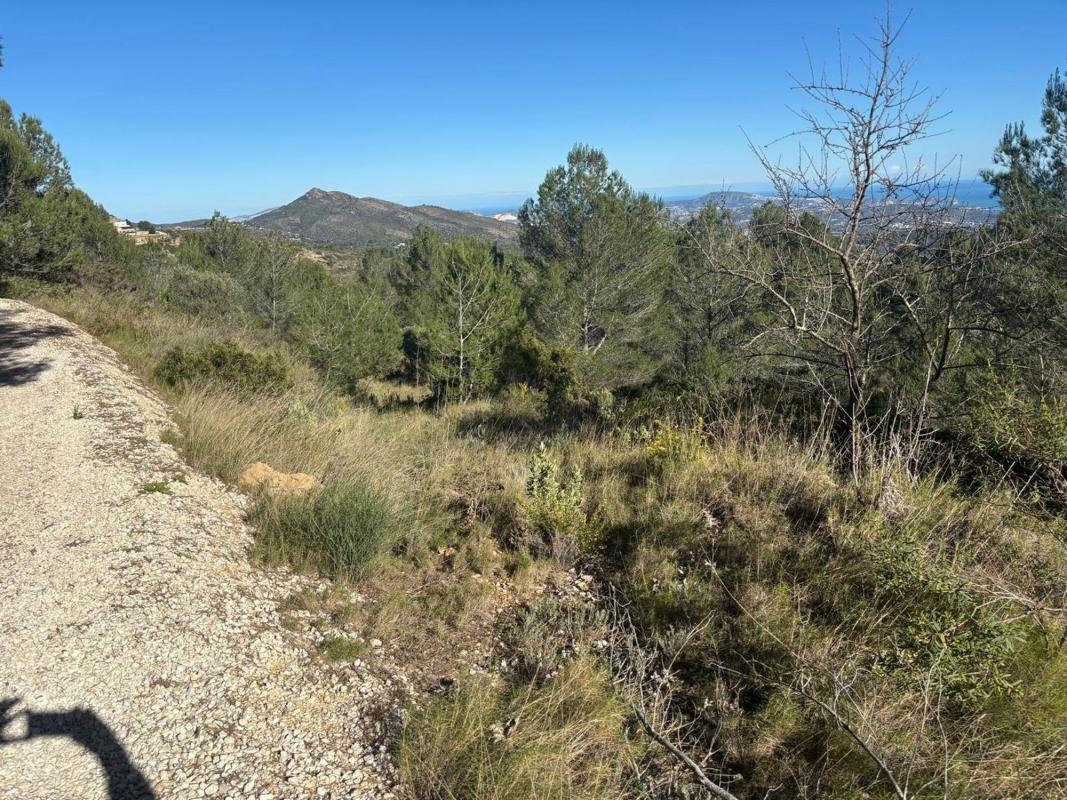 Terreno en venta en Llíber, Alicante photo 5