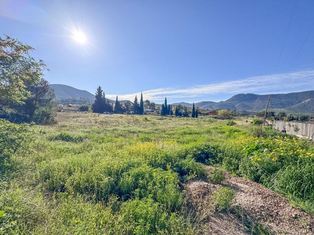 Terreno en venta en Hondón de las Nieves, Alicante photo 4