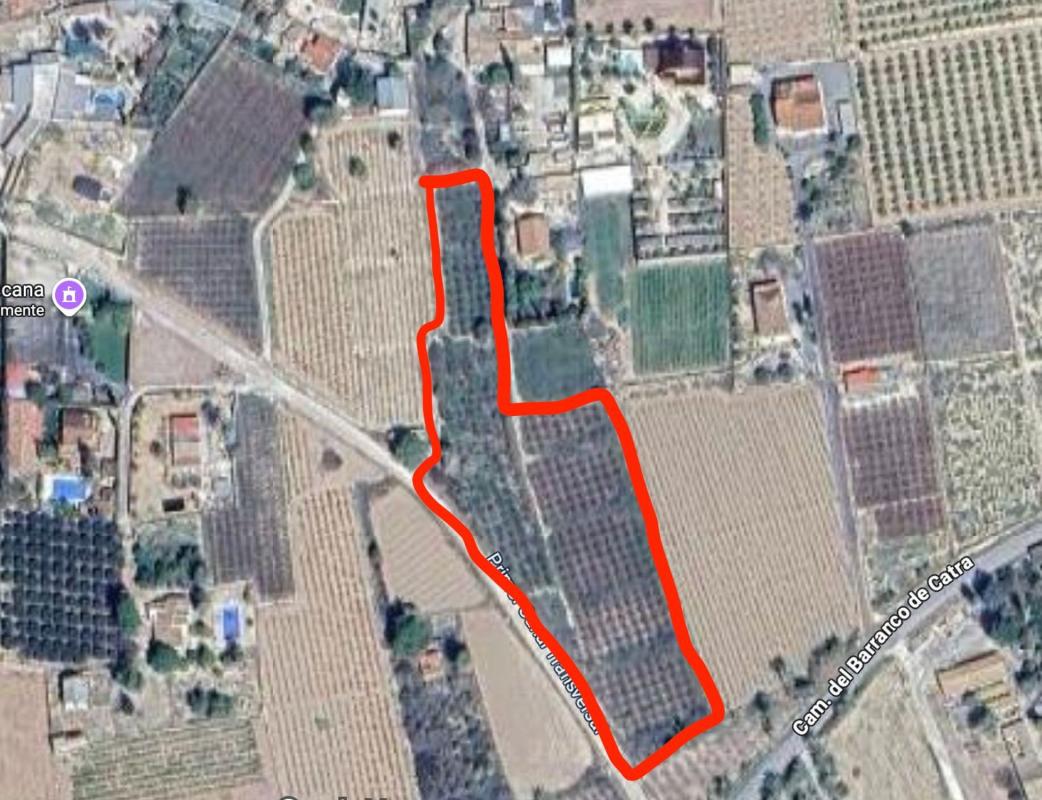 Terreno en venta en Elche / Elx, Alicante photo 1