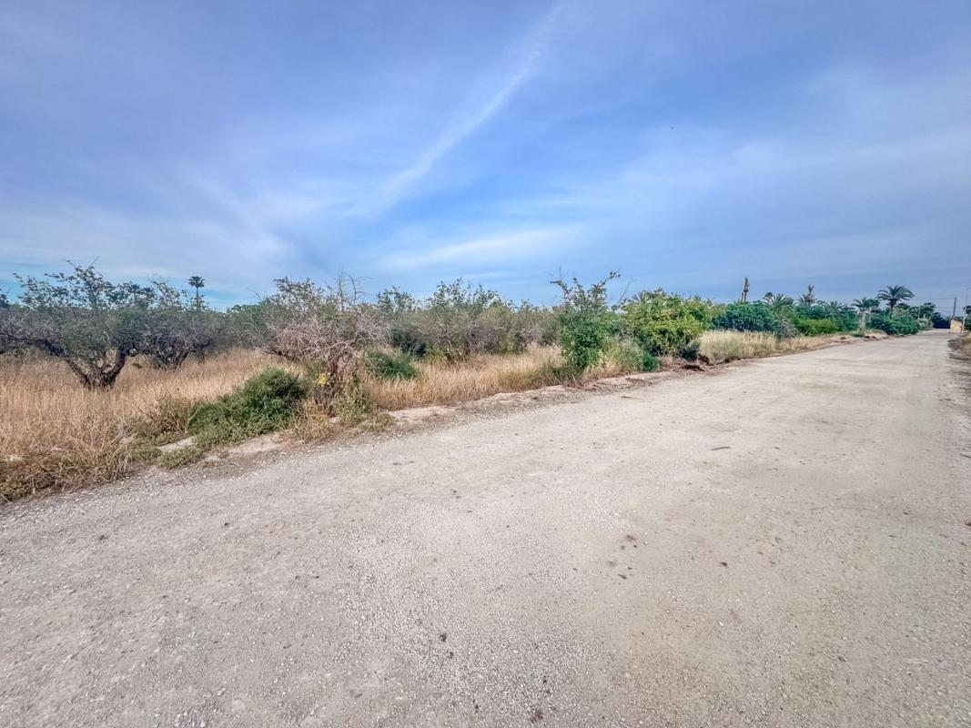 Terreno en venta en Elche / Elx, Alicante photo 2