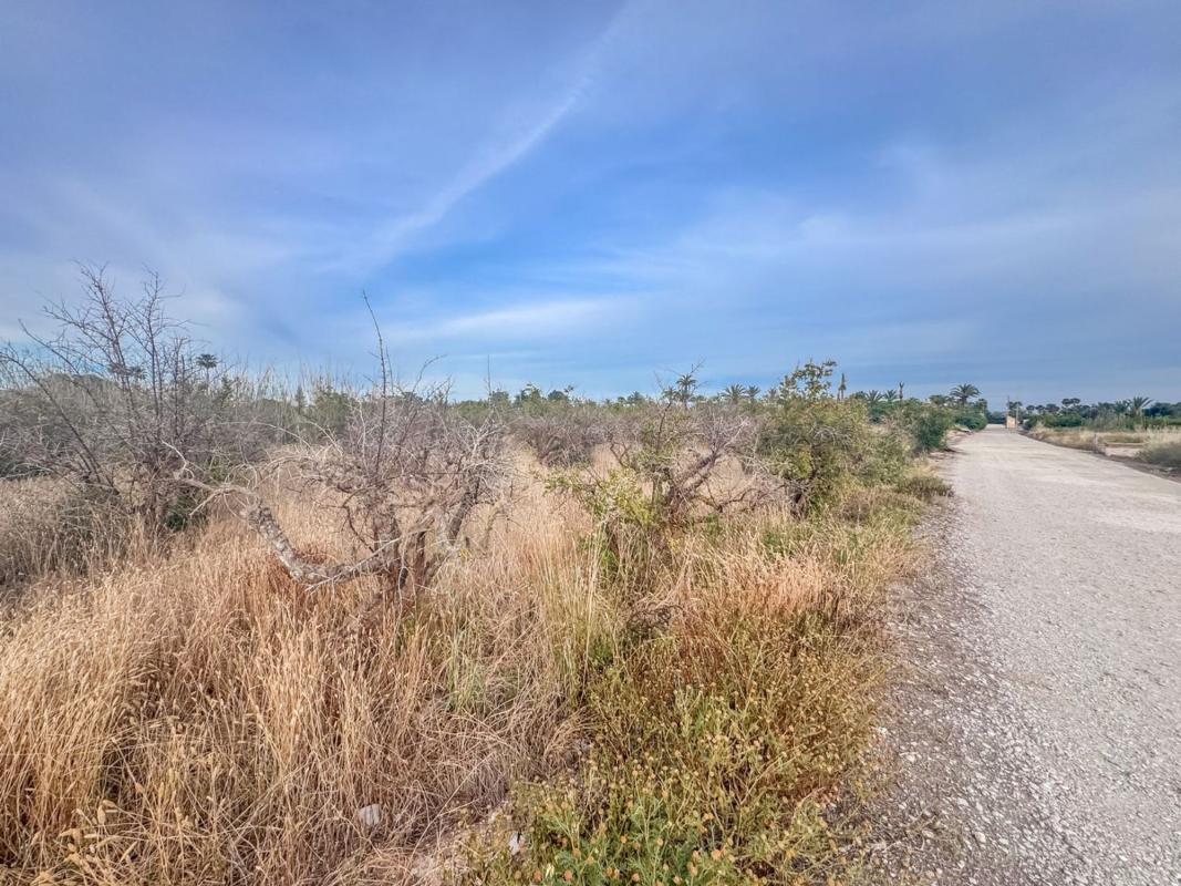 Terreno en venta en Elche / Elx, Alicante photo 4
