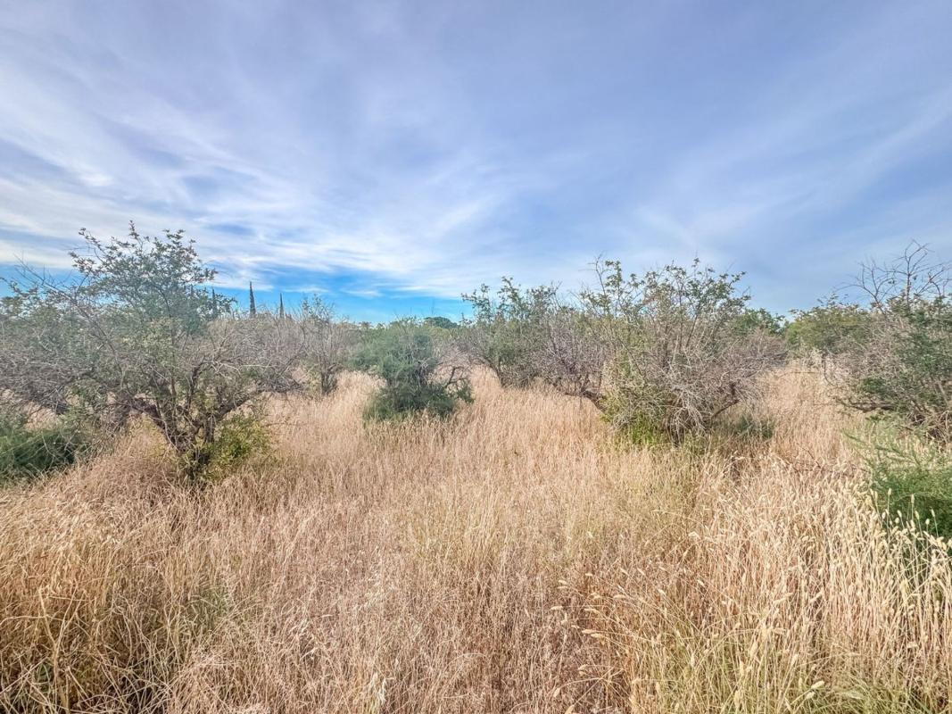 Terreno en venta en Elche / Elx, Alicante photo 5