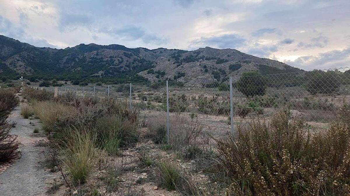Terreno en venta en Orihuela, Alicante photo 3