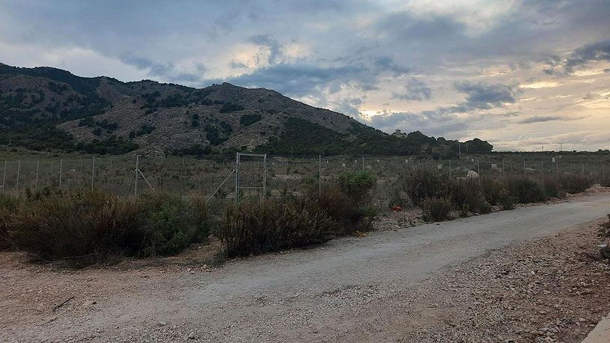 Terreno en venta en Orihuela, Alicante photo 4