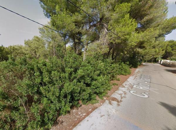Terreno en Camino del Rebaldi, Sol de Este - Puerta Fenicia, Jávea/Xàbia photo 2