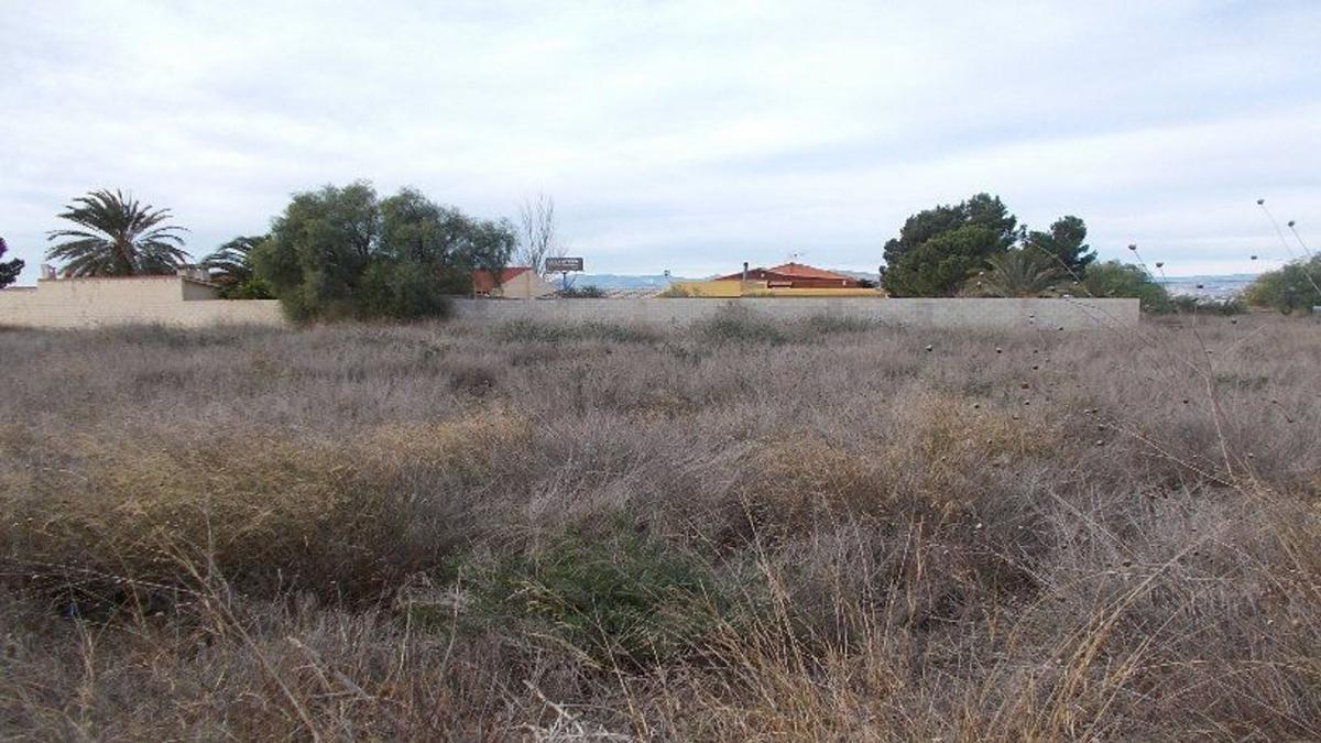 Terreno en venta en Monforte del Cid, Alicante photo 4