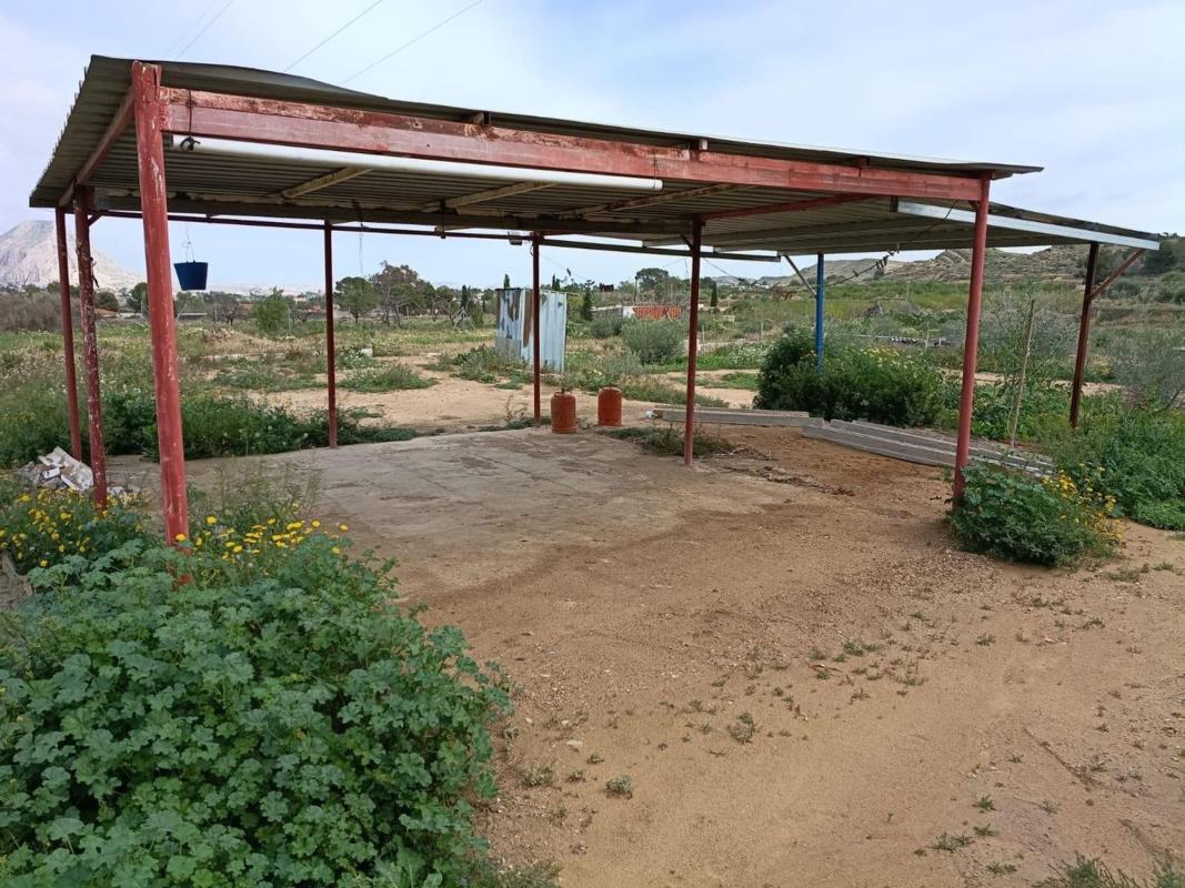 Land for sale in Elche / Elx, Alicante photo 1