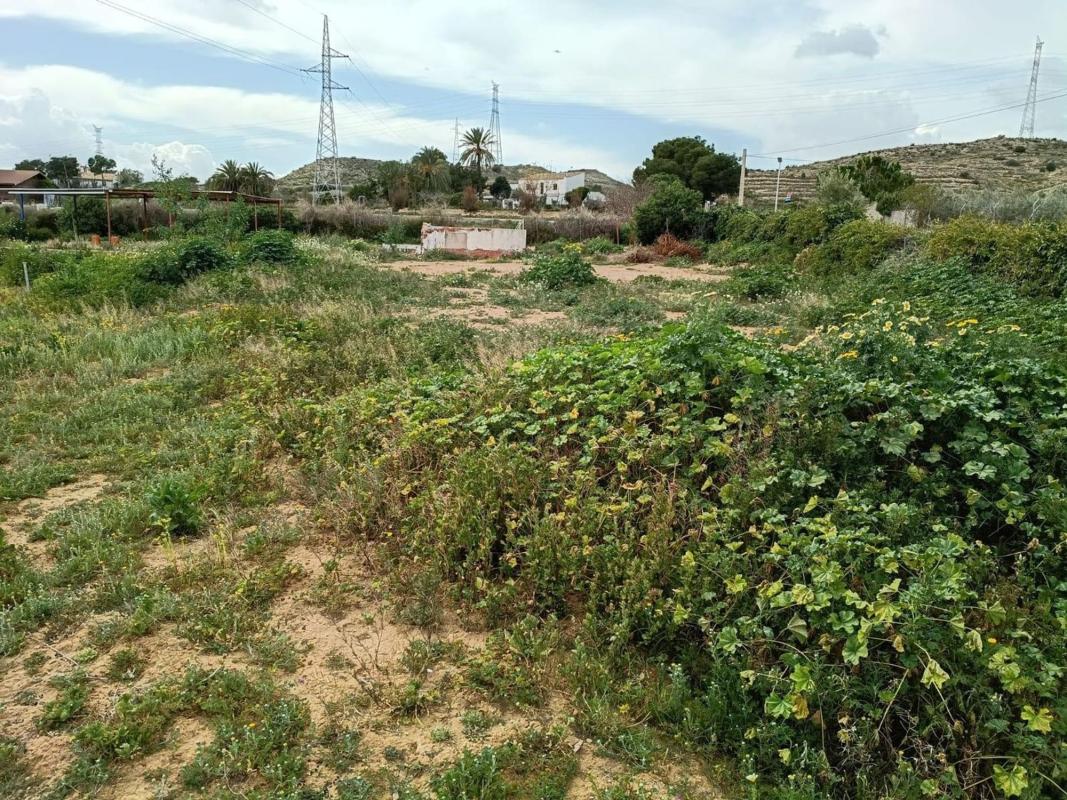 Land for sale in Elche / Elx, Alicante photo 3