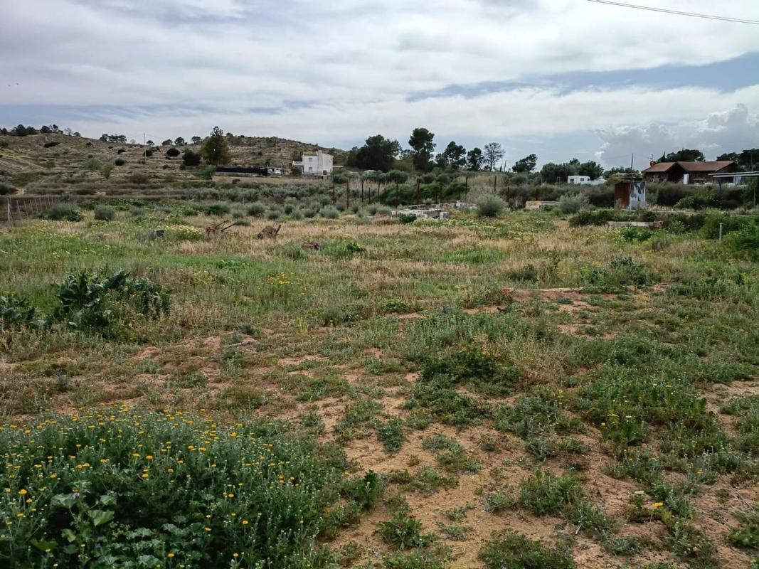 Land for sale in Elche / Elx, Alicante photo 4