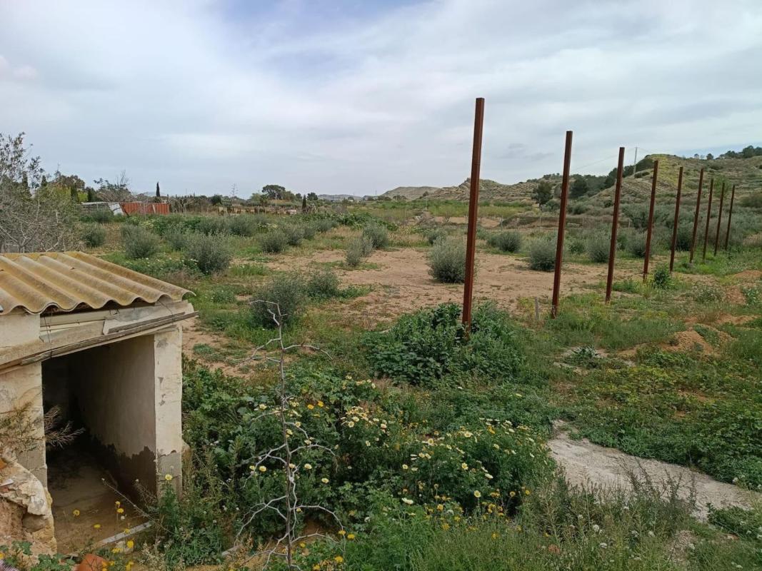 Land for sale in Elche / Elx, Alicante photo 5