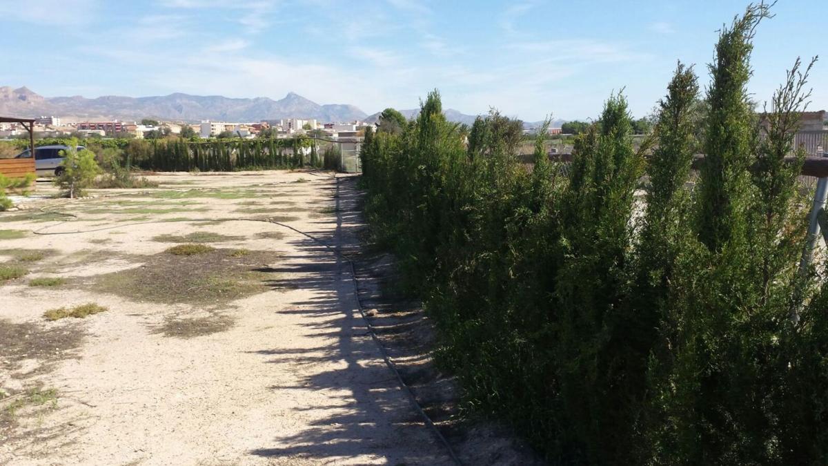 Terreno en venta en Monforte del Cid, Alicante photo 5