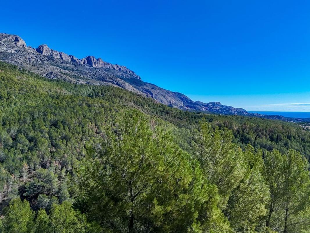 Działka na sprzedaż w Callosa d'En Sarria, Alicante photo 5