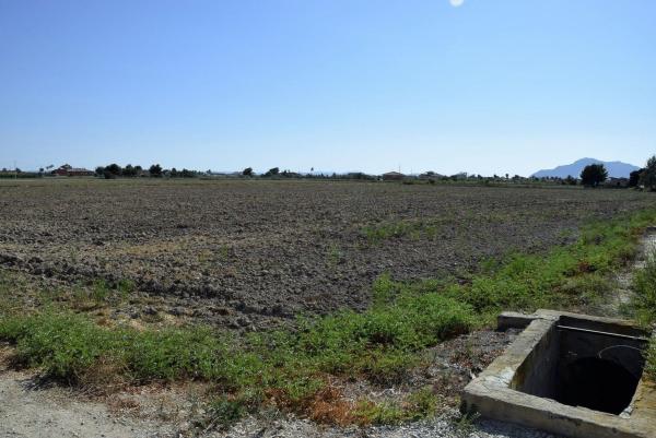 Terreno en Catral photo 1