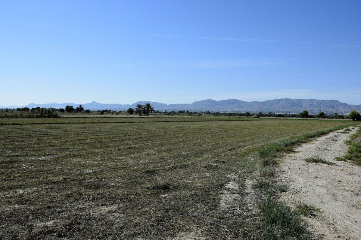 Terreno en venta en Catral, Alicante photo 2