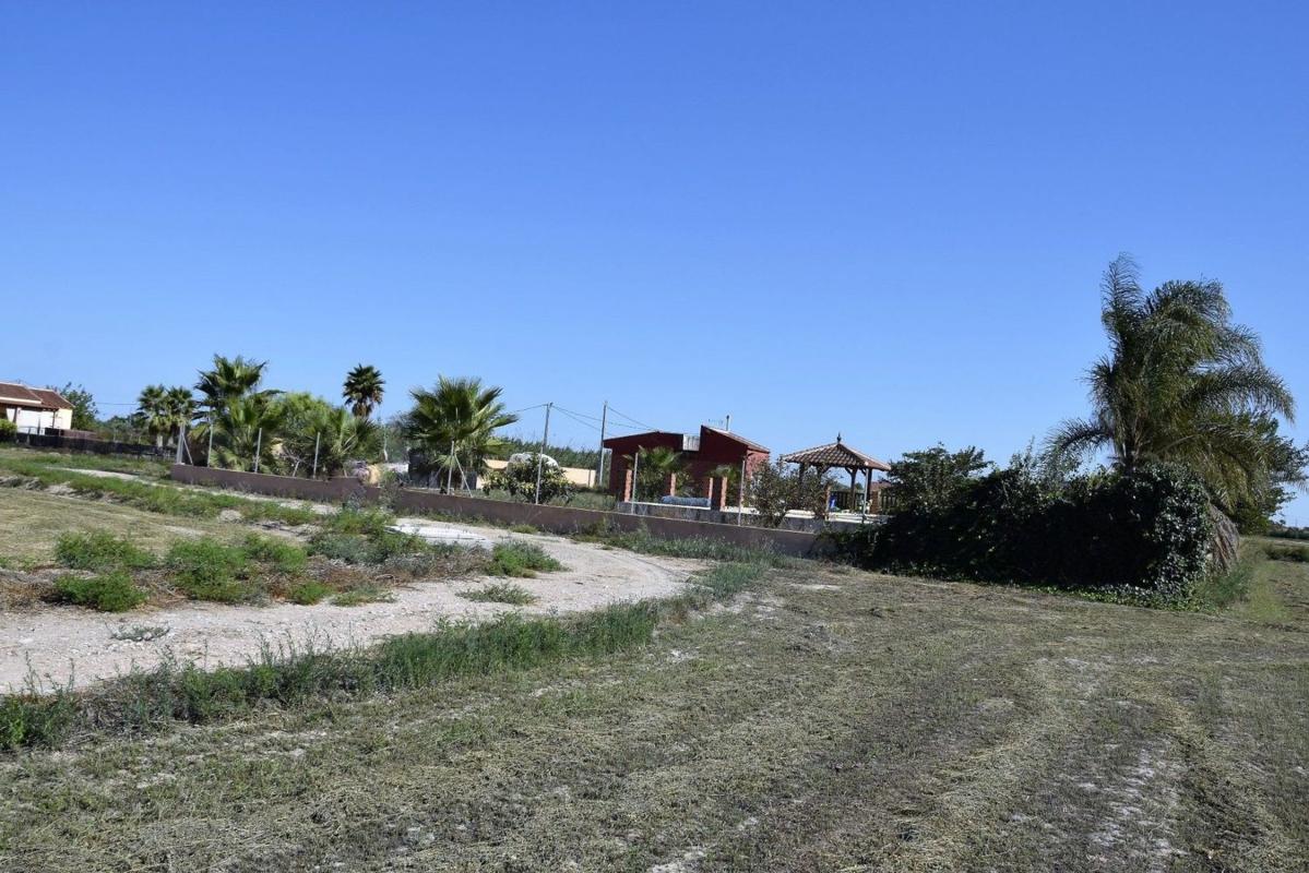 Terreno en venta en Catral, Alicante photo 3