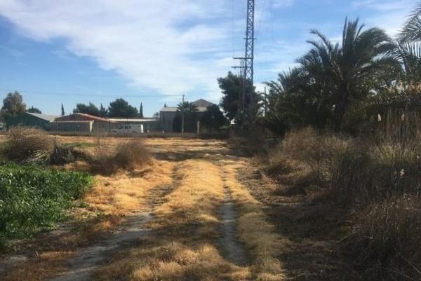 Terreno en Crevillente photo 4