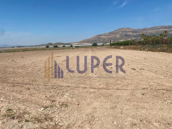 Terreno en Moralet photo 3