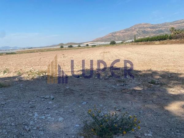 Terreno en Moralet photo 4
