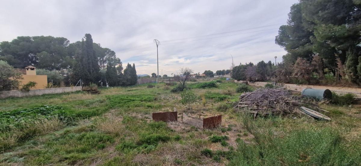 Działka na sprzedaż w San Vicente del Raspeig, Alicante photo 3