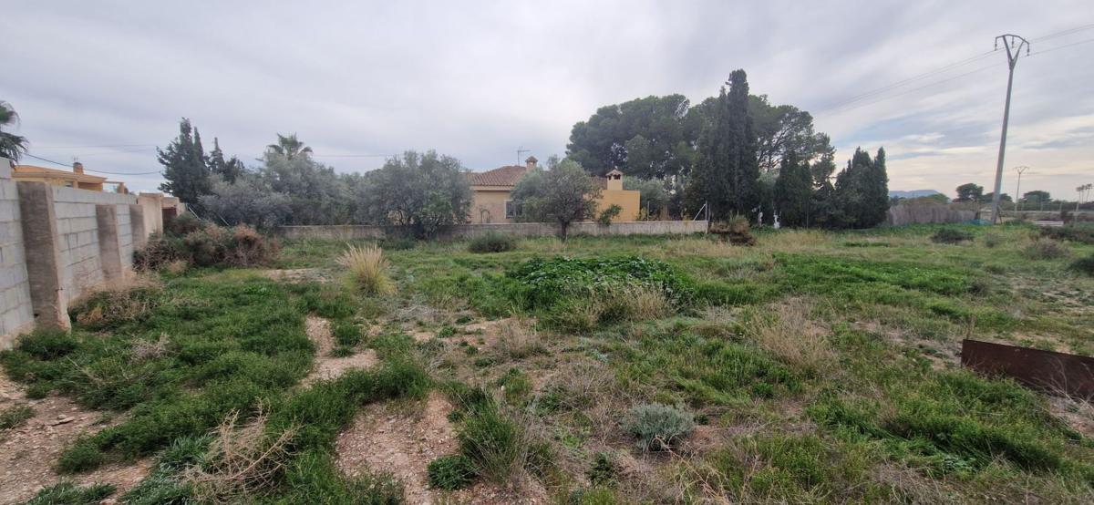 Działka na sprzedaż w San Vicente del Raspeig, Alicante photo 4