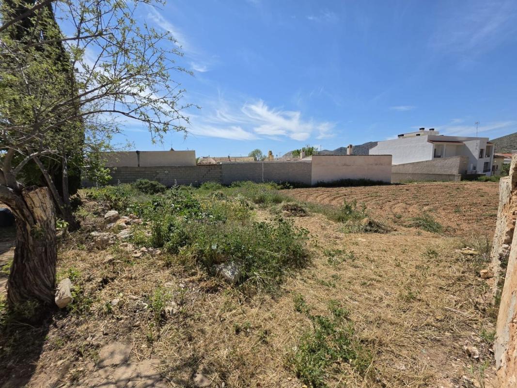 Terreno en venta en Hondón de las Nieves, Alicante photo 2