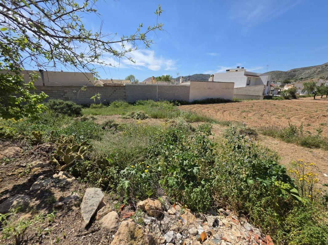 Terreno en venta en Hondón de las Nieves, Alicante photo 4